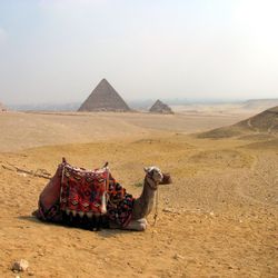 View of a desert