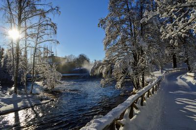 Frozen river amidst trees against clear sky during winter