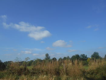 sky