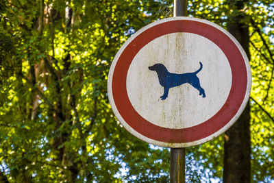 Close-up of road sign against trees