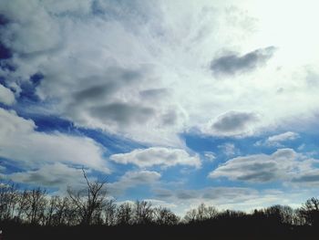 Low angle view of trees against sky