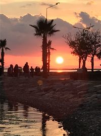 Silhouette of palm trees at beach during sunset