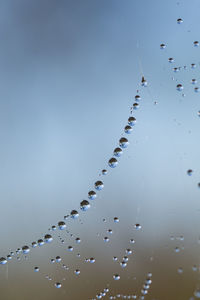 Close-up of water drops on spider web against sky