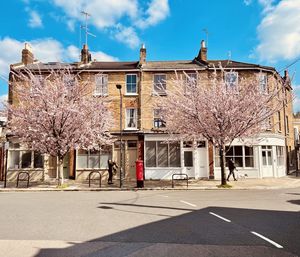 Cherry tree by building against sky