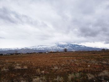 Scenic view of field against sky