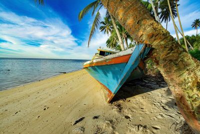 Abandoned boat moored by palm tree at beach against sky