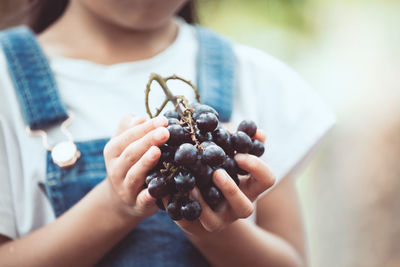 Midsection of man holding fruit