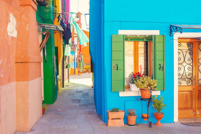 Potted plant on alley amidst buildings