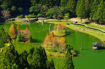 Scenic view of lake amidst trees