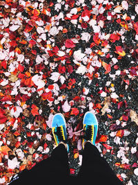 Low section of person standing by autumn leaves