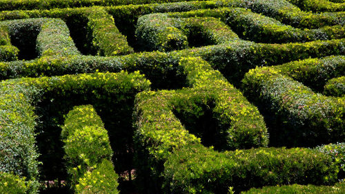 View of formal garden in park maze