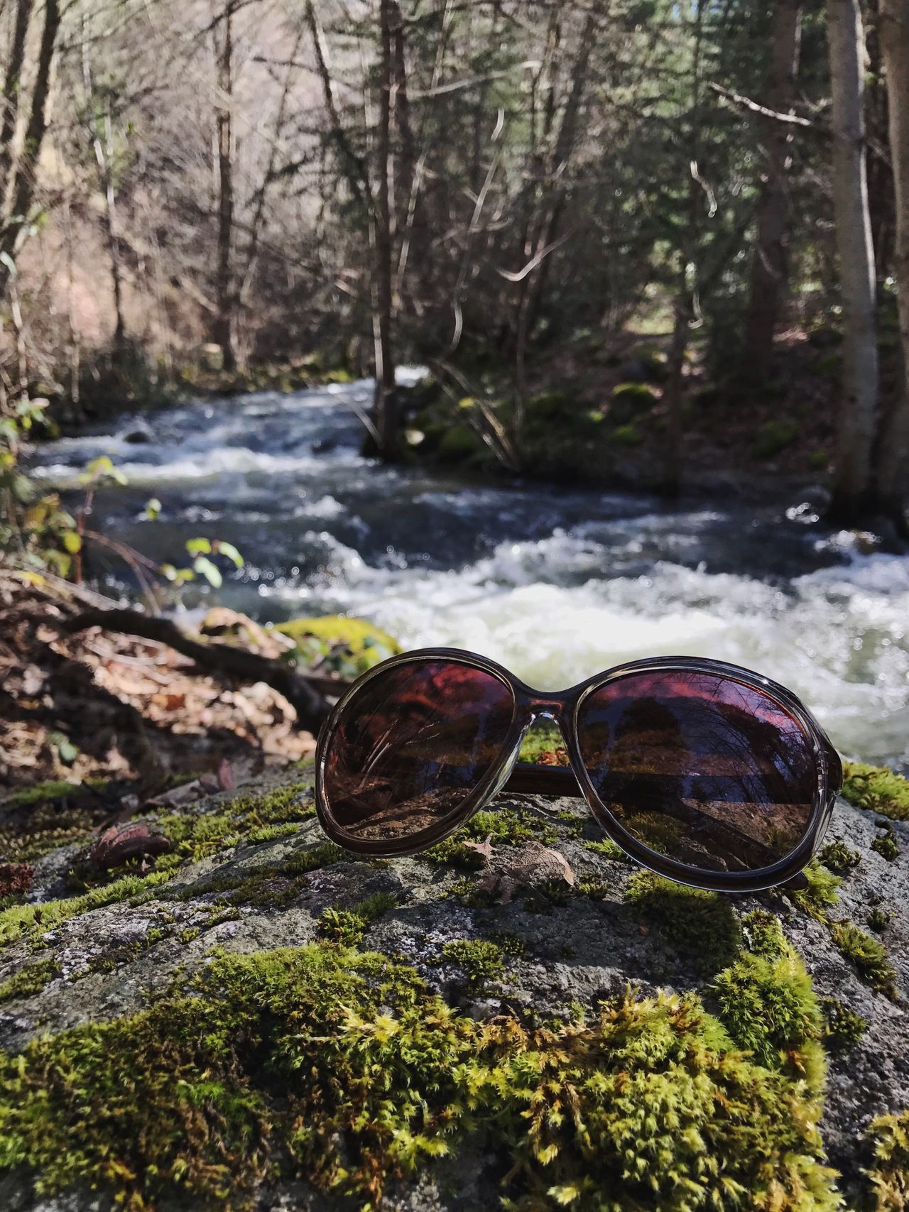 Sunglasses on rock