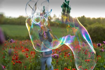 Giant soap bubble on the meadow