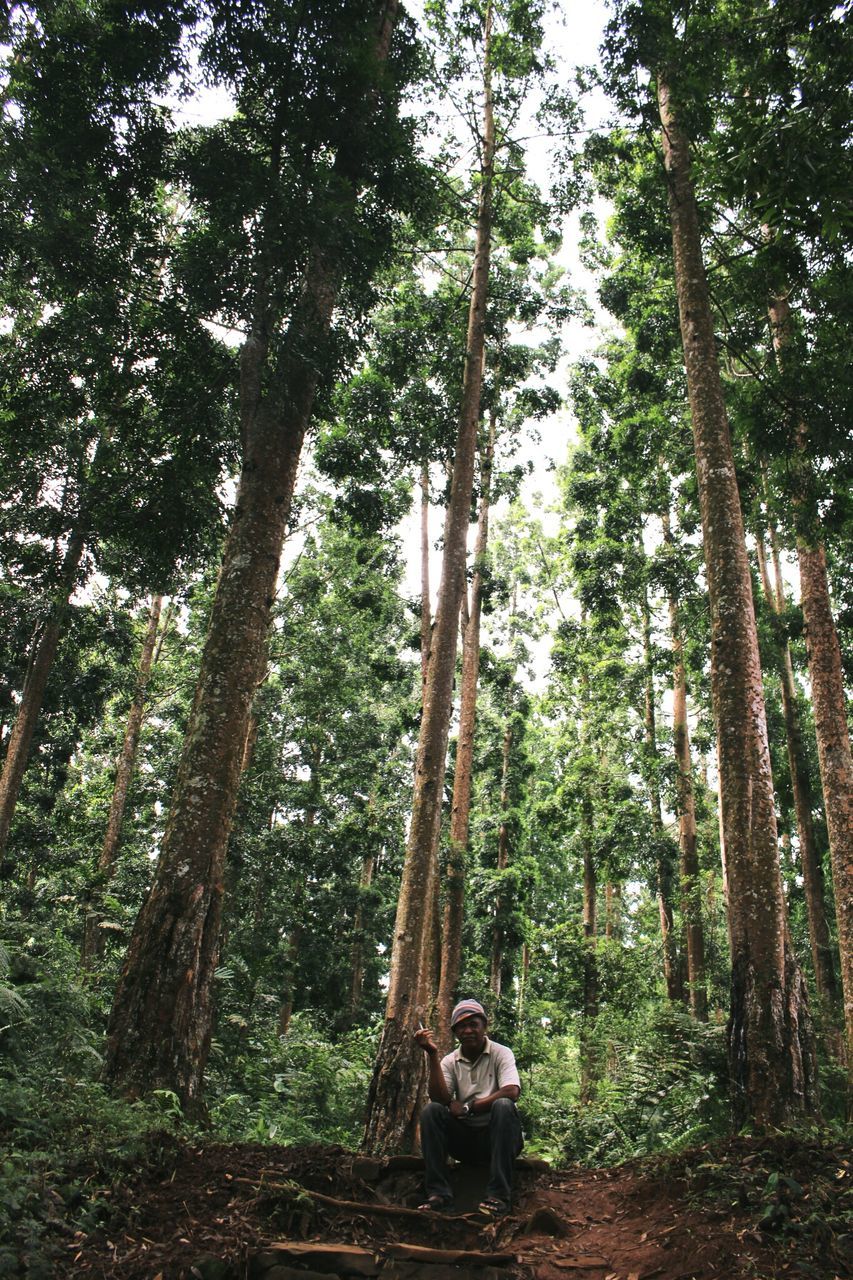 MAN IN FOREST AGAINST TREES