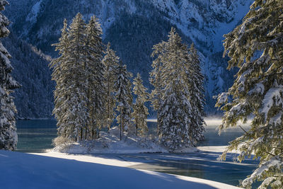 Scenic view of snow covered trees during winter