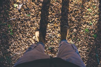 Low section of man standing on dry leaves in forest during sunny day