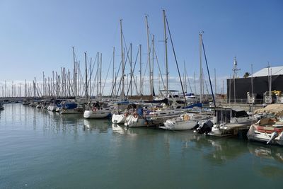 Sailboats moored in harbor