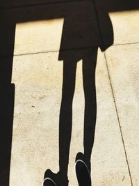 Low section of woman standing on tiled floor