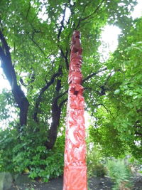 Low angle view of trees