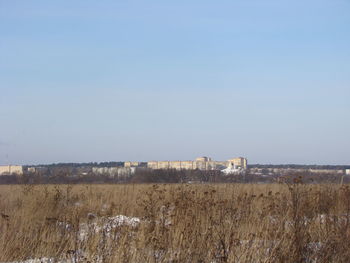 Scenic view of field against clear sky