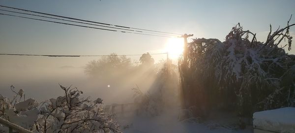 Snow covered trees against sky during sunset