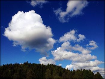 Low angle view of trees against cloudy sky