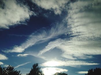 Low angle view of trees against sky