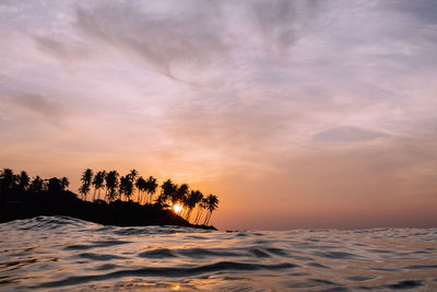 Silhouette trees by sea against sky during sunset