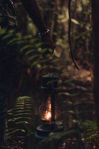 Walking through a natural forest reserve carrying an oil lamp