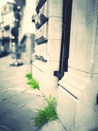 Alley amidst buildings in city