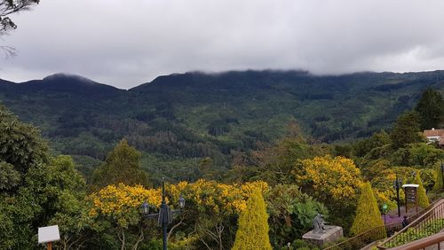 Scenic view of trees and mountains against sky