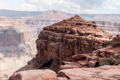 Rock formations on landscape