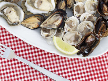 High angle view of food in bowl