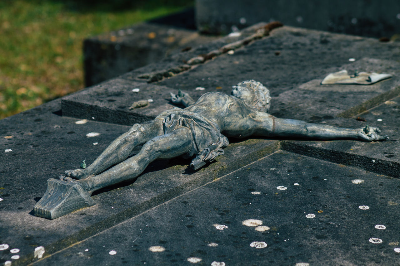 HIGH ANGLE VIEW OF LIZARD ON A CEMETERY