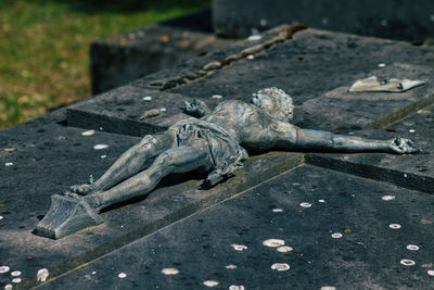 High angle view of lizard on cemetery