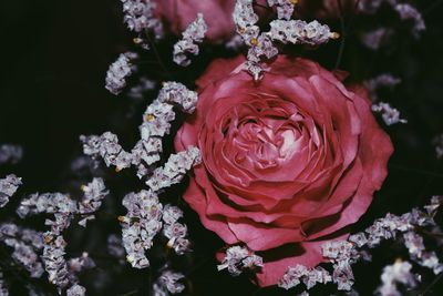 Close-up of rose bouquet