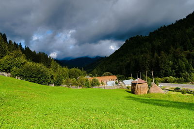 Scenic view of field and houses against sky