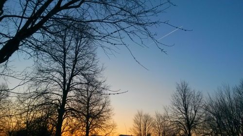 Low angle view of bare trees against sky