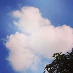 Low angle view of cloudy sky