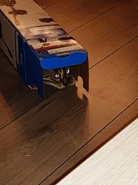 High angle view of cat on wooden floor