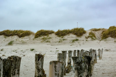 Panoramic view of beach against sky