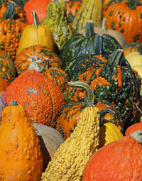 Full frame shot of pumpkins for sale market