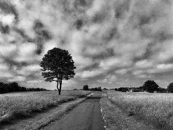 View of trees on field against sky