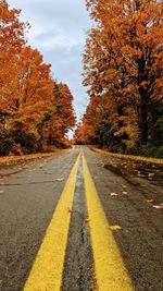 Empty road amidst trees against sky