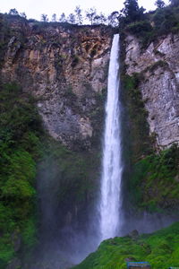 View of waterfall in forest