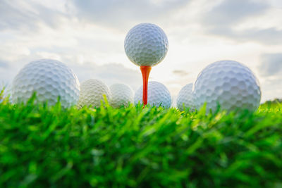 Close-up of golf ball on tee and grass against sky