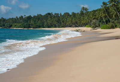 Scenic view of beach against sky