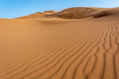 Scenic view of desert