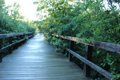 Wooden footbridge in forest