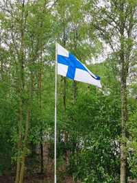 Low angle view of flag against trees in forest